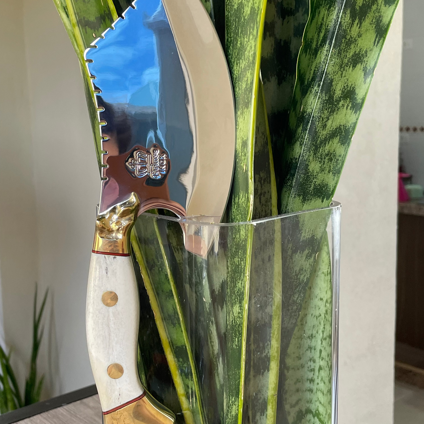 Cutelo Viking 6" - Cabo em Osso Bovino